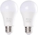 Lampadine a LED